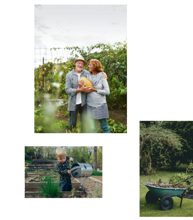 An older couple gardening with their grandson at their home